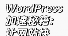 【Wordpress加速秘籍】如何让网站快到飞起？